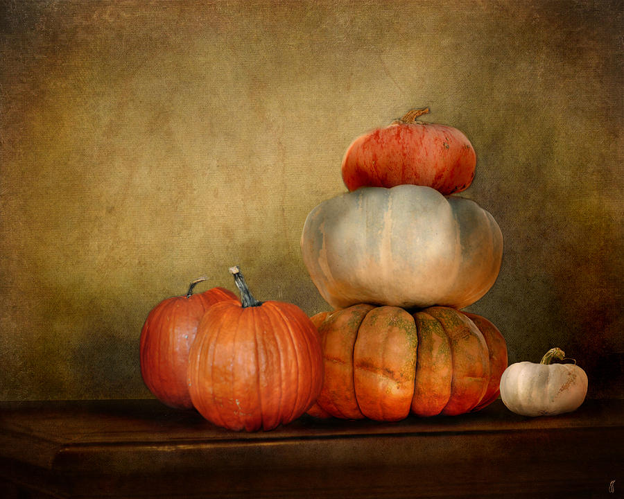 Pumpkins Photograph by Jai Johnson