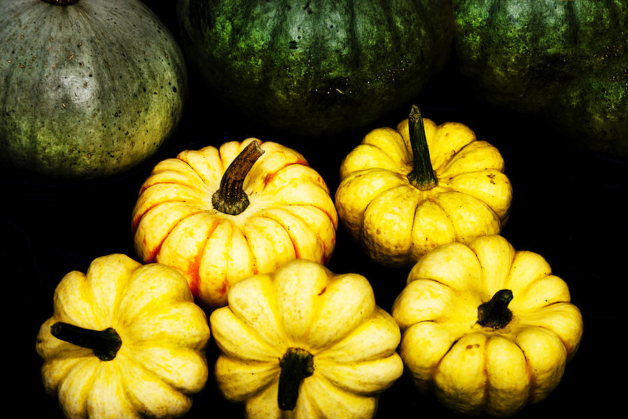Pumpkins Photograph by Maj Seda