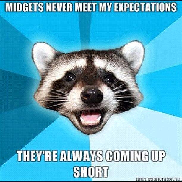 Raccoon Photograph - #pun #raccoon #midgets #short by Jared Colbert