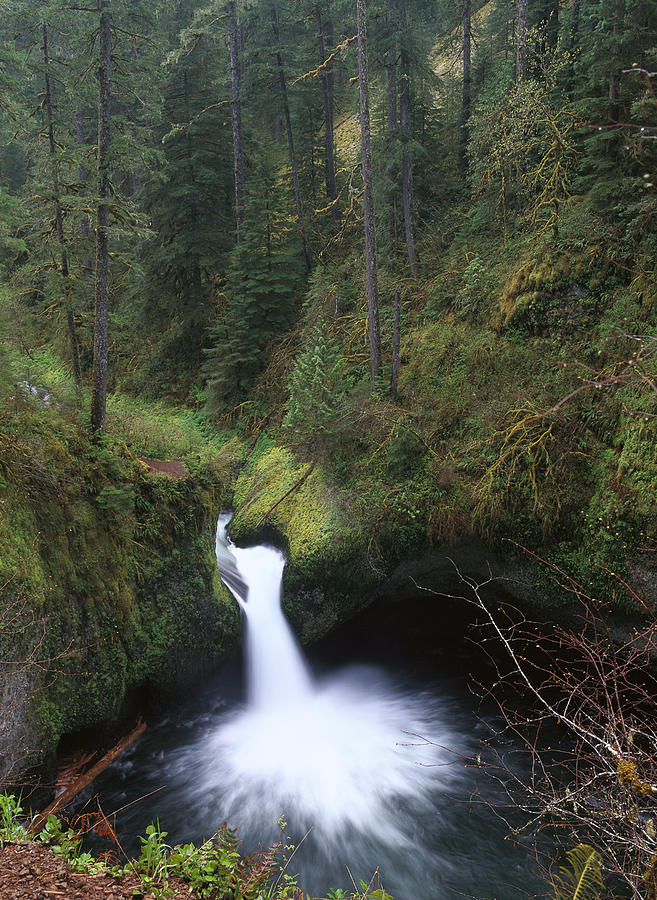 Punchbowl Falls At Eagle Creek Columbia Photograph by Tim Fitzharris