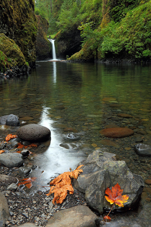 Punchbowl Falls Photograph By Rainer Grosskopf - Fine Art America