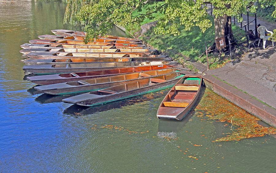 Punts in Cambridge Photograph by Tony Murtagh