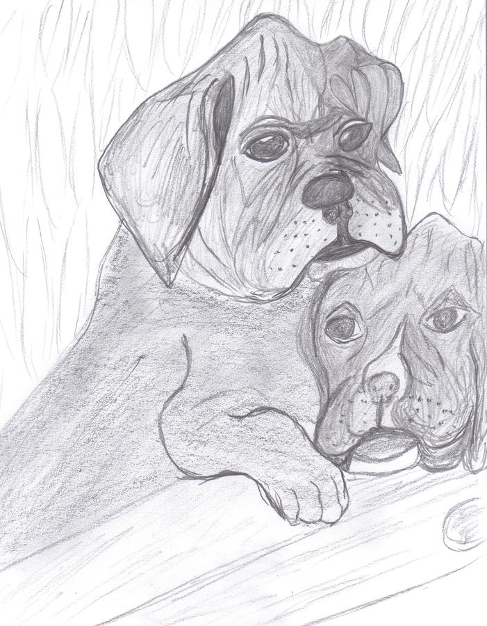 Puppies At Play Drawing by Aric Conall