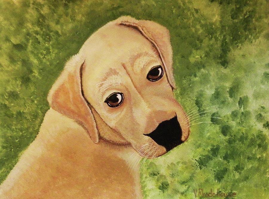 Puppy Dog Eyes Painting by Victoria Rhodehouse