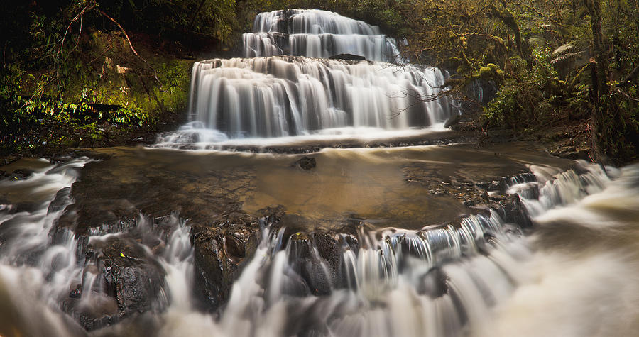 Purakaunui Falls In  Catlins Forest Photograph by Colin Monteath