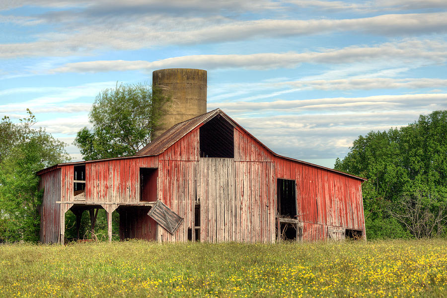 Pure Country Photograph by JC Findley - Fine Art America