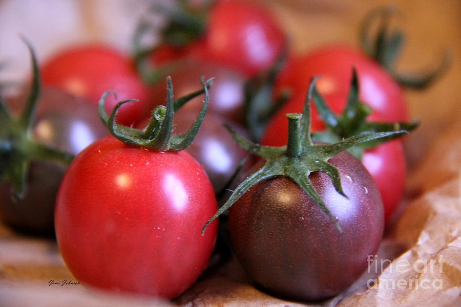 Purple and red mini tomatos Photograph by Yumi Johnson