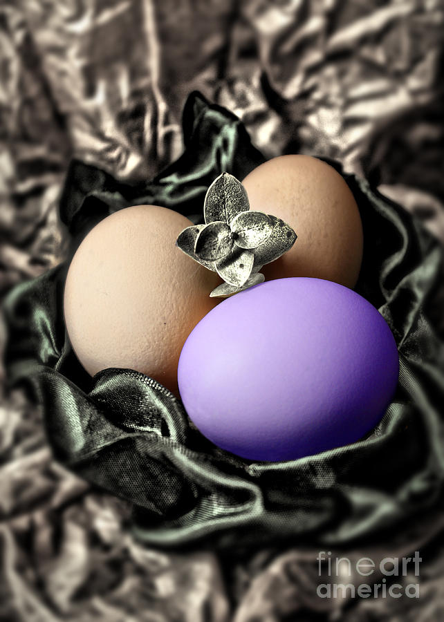 Purple Classy Easter Egg Photograph by Danuta Bennett