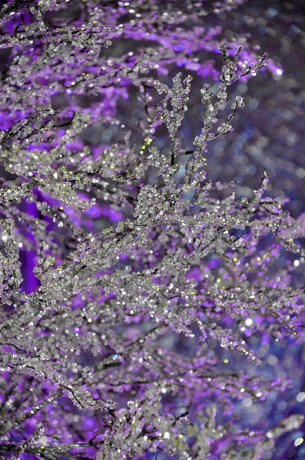 Purple Crystal Photograph by Teresa Blanton