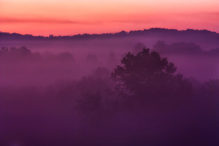 Purple Photograph - Purple Dawn by Matt Trimble Purple Photograph - Purple Dawn by Matt Trimble
