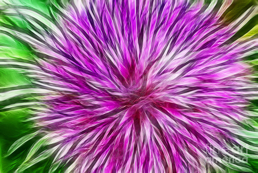 Purple Flower Fractal Photograph by Donna Greene