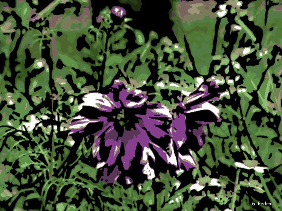 Purple Flowers in a Sea of Green Photograph by George Pedro