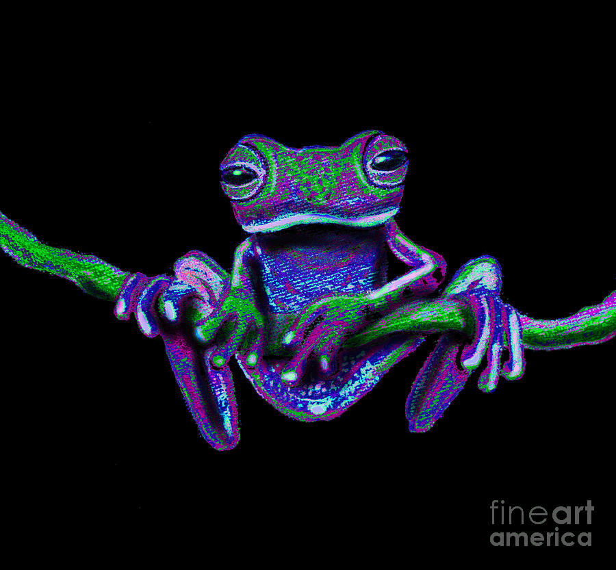 Purple Green Ghost Frog by Nick Gustafson