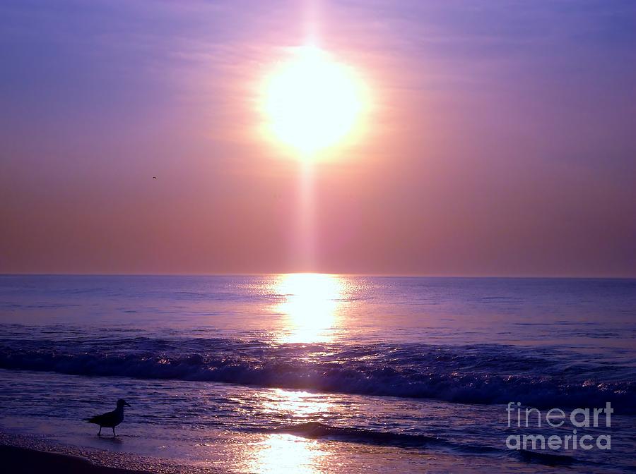 Sunset Photograph - Purple Haze by Art Dingo