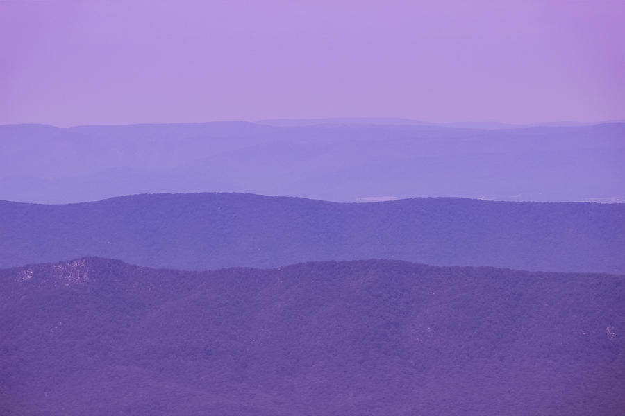 Purple Haze Photograph by Rachel Cohen