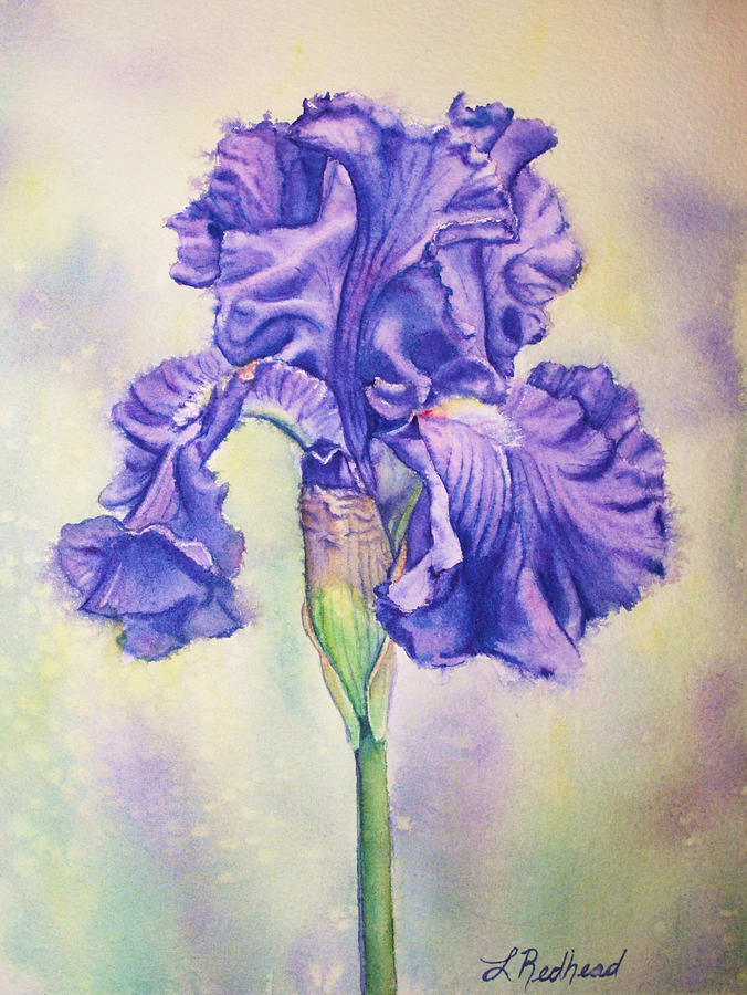 Iris Painting - Purple Iris by Leslie Redhead Iris Painting - Purple Iris by Leslie Redhead