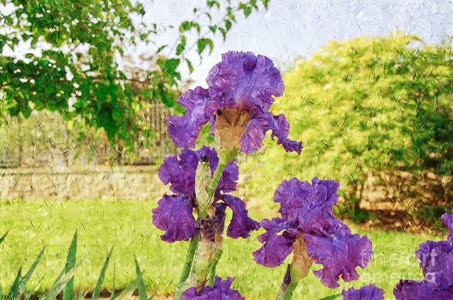 Purple Iris Party Painterly Photograph by Andee Design