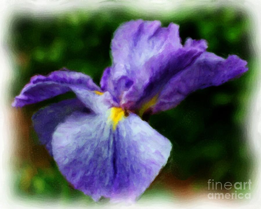 Purple Japanese Iris Painting by Smilin Eyes Treasures