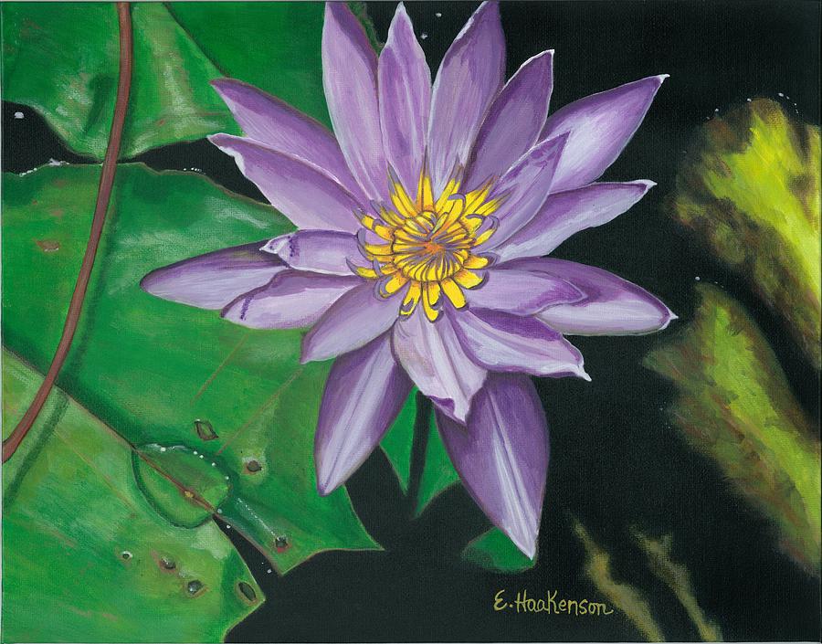 Purple Lilly Dew Drop Painting by Elaine Haakenson - Fine Art America