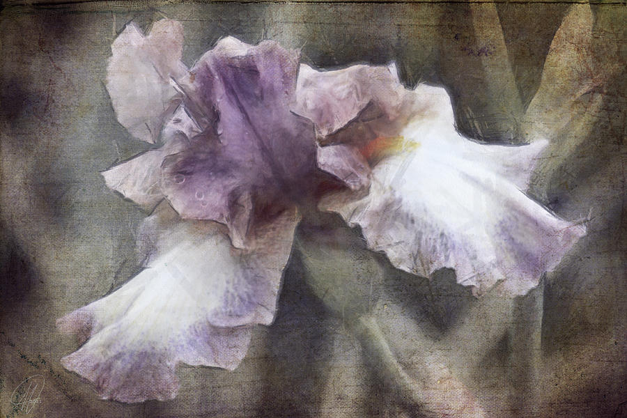 Purple Digital Art by Margaret Hormann Bfa