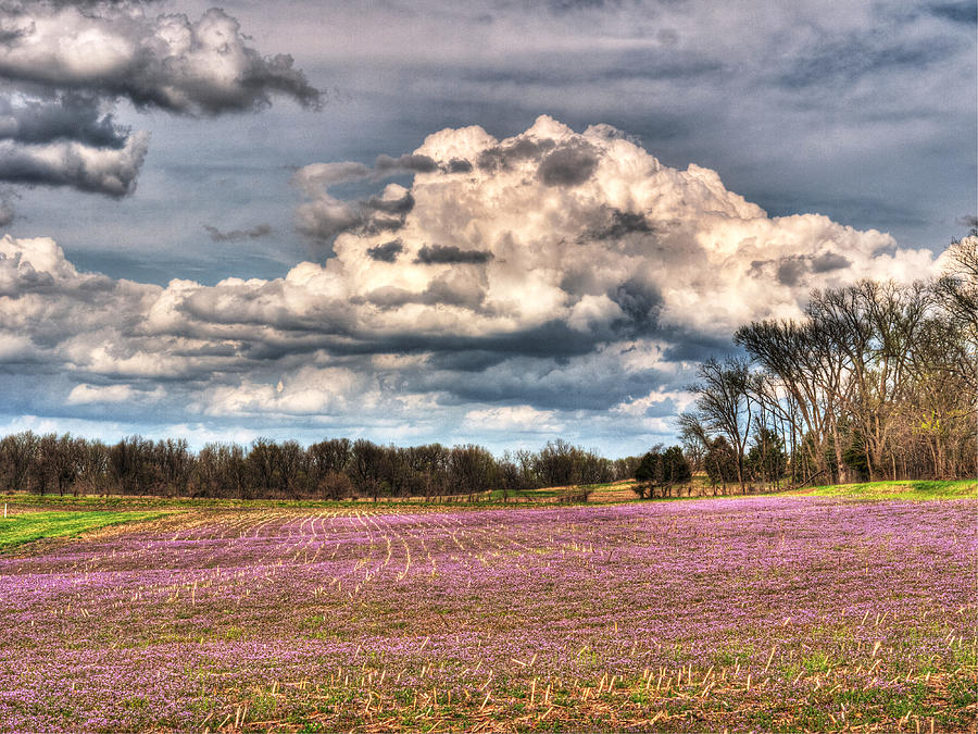Farm Photograph - Purple Meadows Majesty by William Fields
