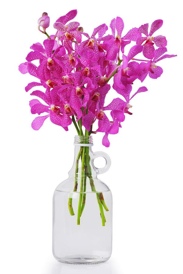 Purple Orchid In Bottle Photograph by Atiketta Sangasaeng - Fine Art ...