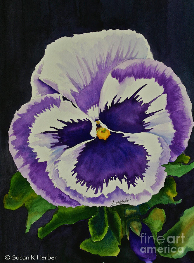 Purple Pansy Painting by Susan Herber