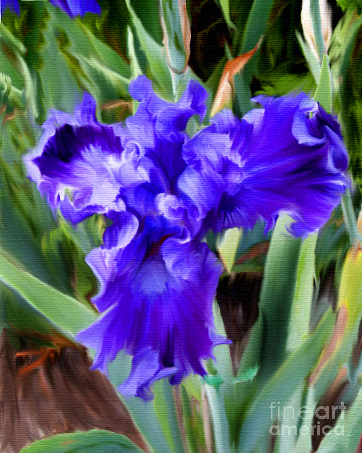 Purple Passion Iris Painting by Diane E Berry