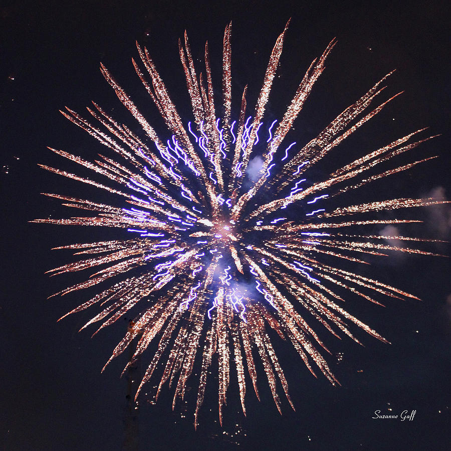 Independence Day Photograph - Purple Pizazz by Suzanne Gaff