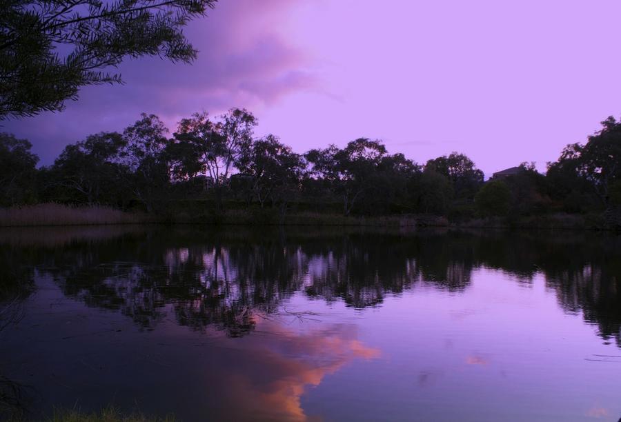 Purple Pond by Kathryn Potempski