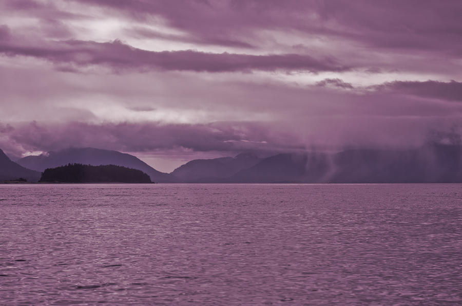 Purple Rain Photograph by Don Mennig