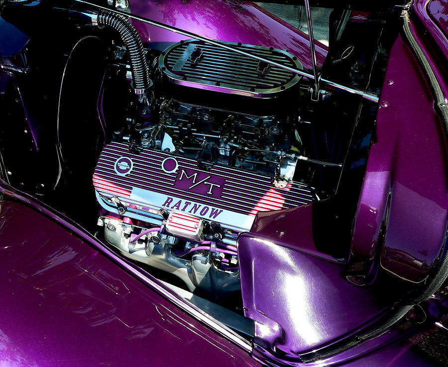 Purple Ratnow Photograph by Jeff Lowe