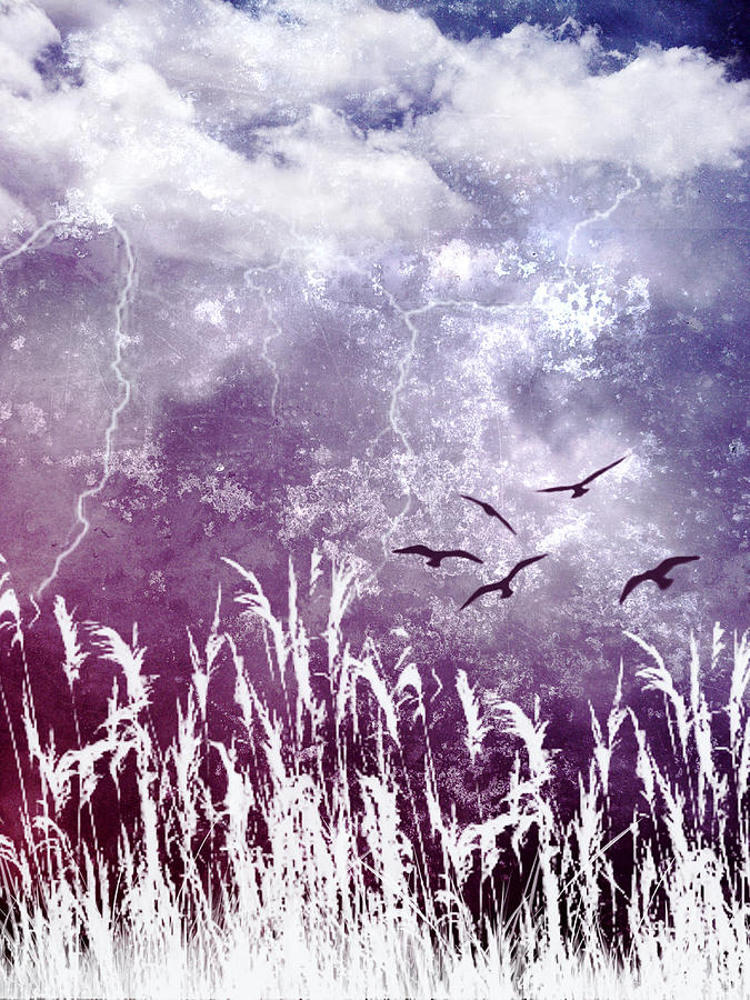 Purple Skies Photograph by Ellen Heaverlo