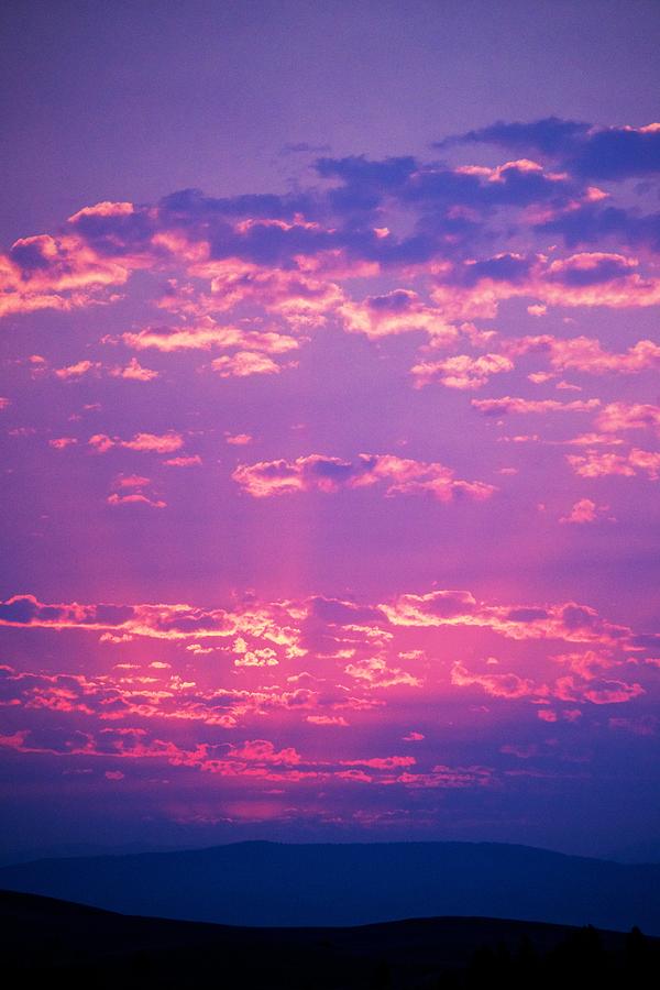 Purple Sky  Photograph by Kevin Bone