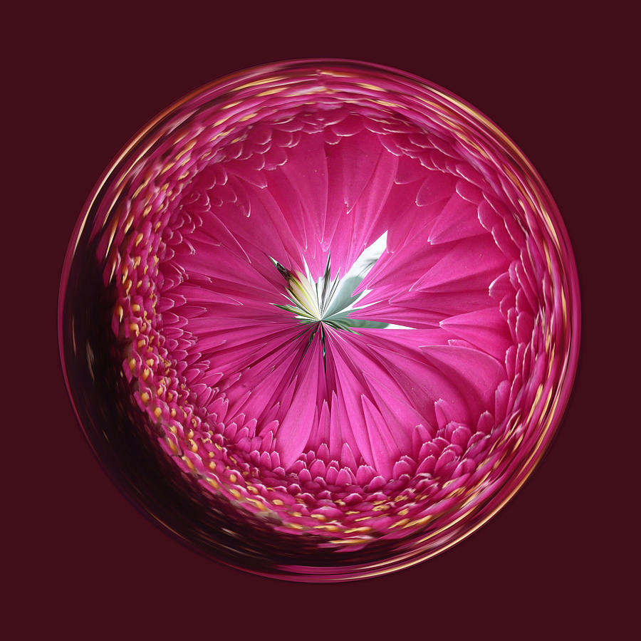Flowers Still Life Digital Art - Purple Smile by Robert Gipson