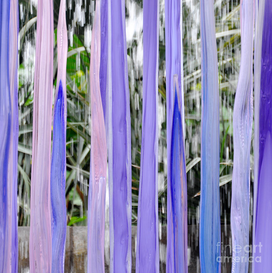 Purple Stripes Photograph by Cheryl McClure