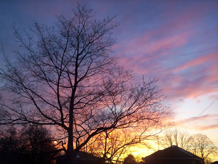 Sunset Photograph - Purple Sunset by Corinne Elizabeth Cowherd
