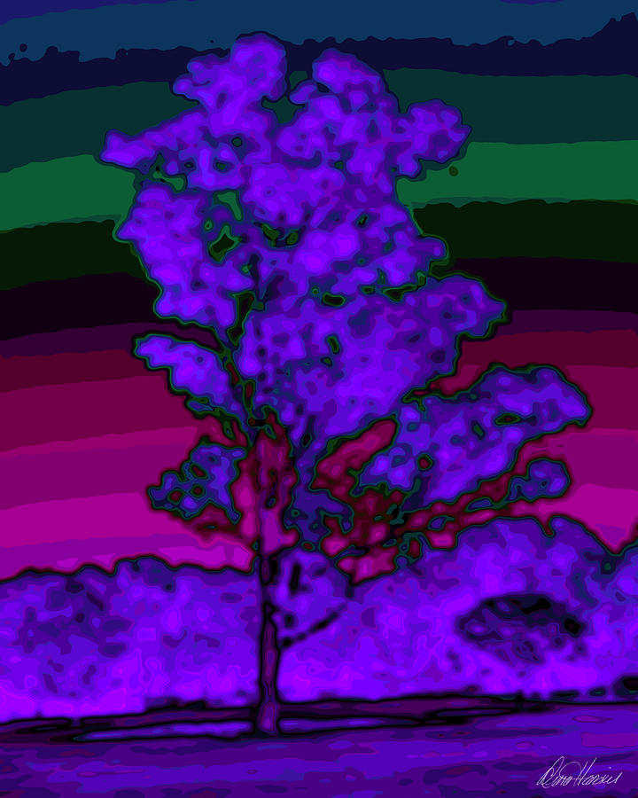 Sunset Photograph - Purple Tree and Rainbow Sky by Diana Haronis