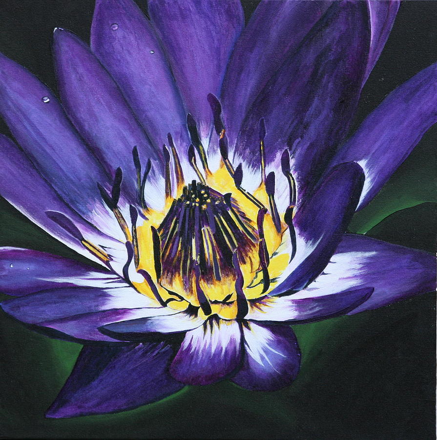 Nature Painting - Purple..licious by Betty-Anne McDonald