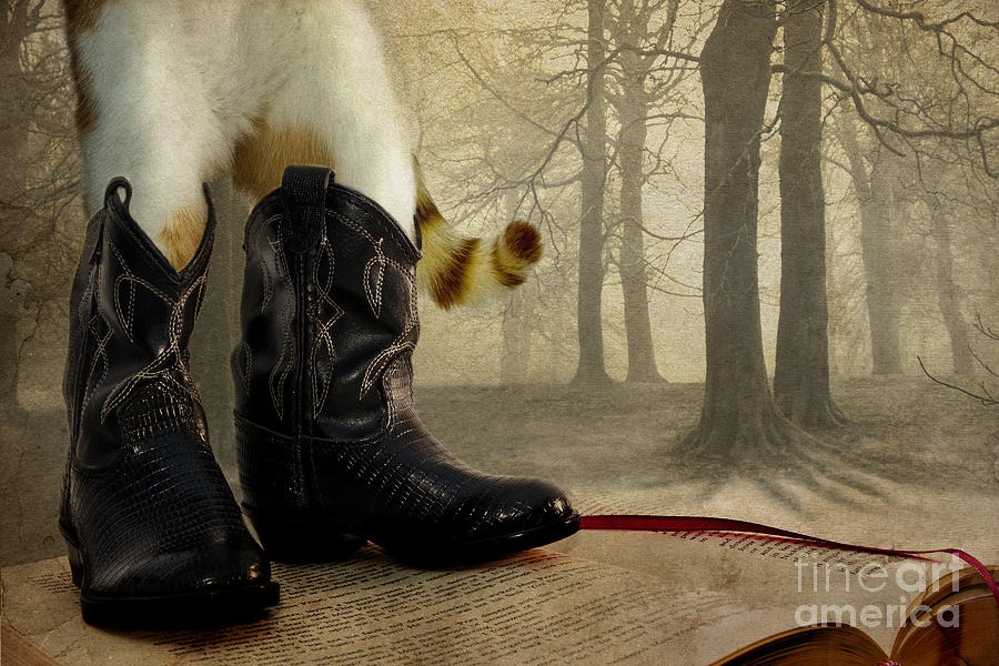 Puss in Boots Photograph by Catherine MacBride - Fine Art America