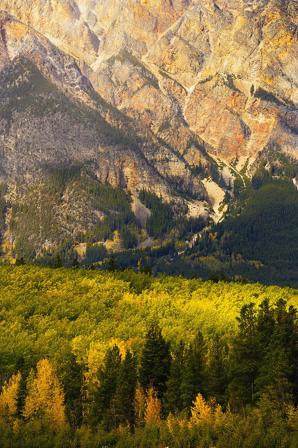 Pyramid Mountain And Fall Colours Photograph by Yves Marcoux | Fine Art ...