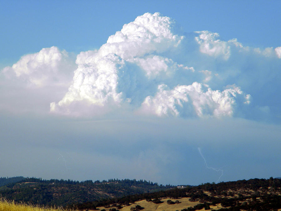 Pyrocumulus Cloud  Photograph by Frank Wilson