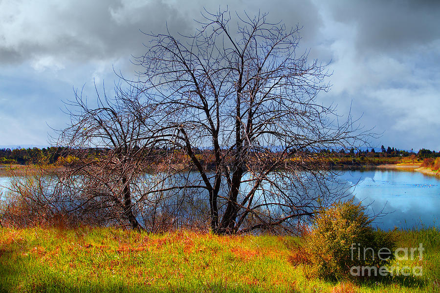 Quarry Lakes in Fremont California . 7D12636 Photograph by Wingsdomain ...