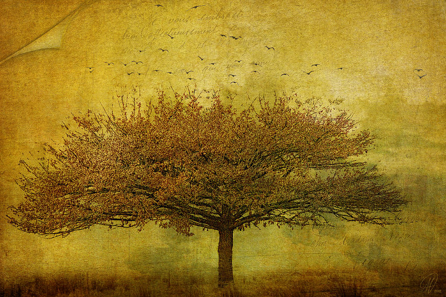 Quercus Robur Digital Art by Margaret Hormann Bfa