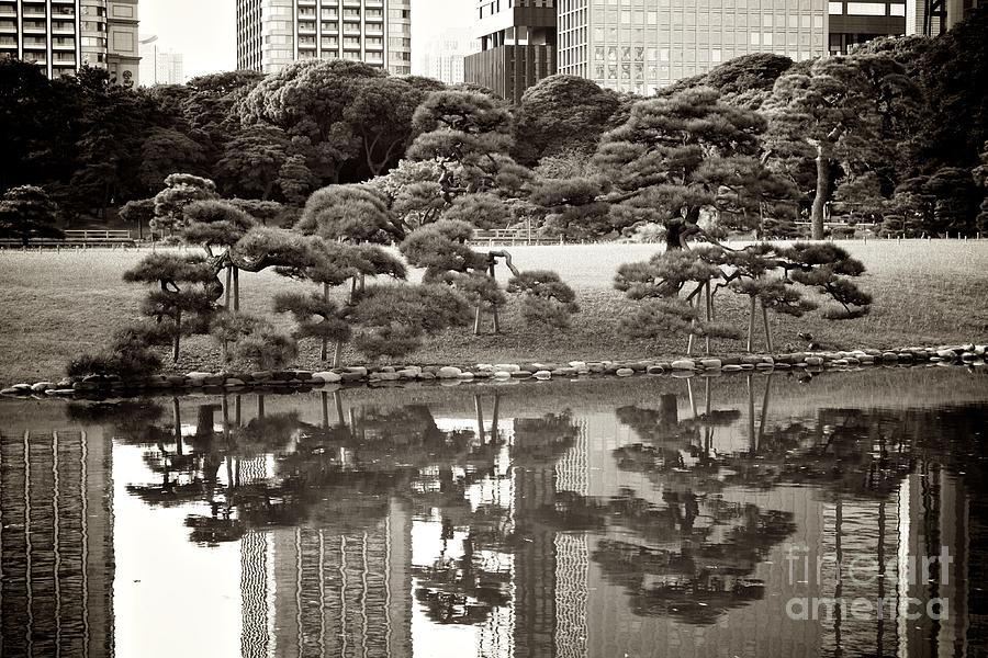 Quiet Moment in Tokyo Photograph by Carol Groenen