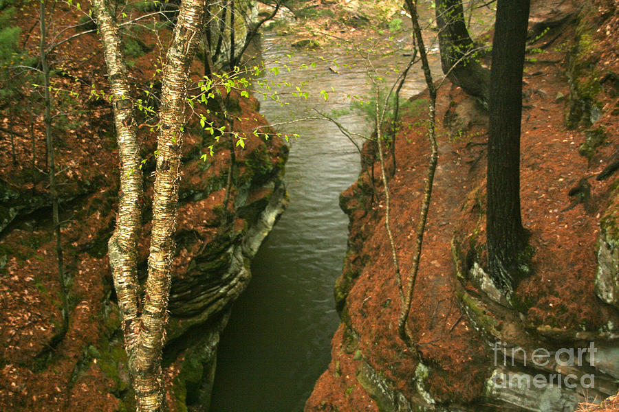 Quiet Rocky Gorge Photograph by Joan McArthur
