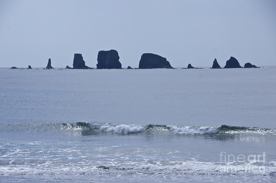 Quileute Needles Photograph by Sean Griffin