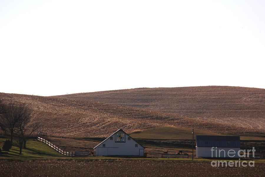 Quilt barn and Lama farm  Photograph by Yumi Johnson