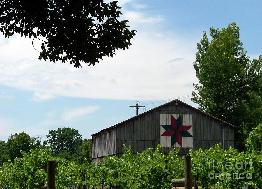 Quilted Barn and Vineyard Photograph by Charles Robinson
