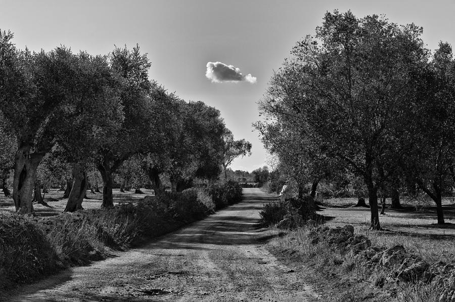 Landscape Photograph - QuindiciGennaio2012 10.39 by Alessandro De Matteis